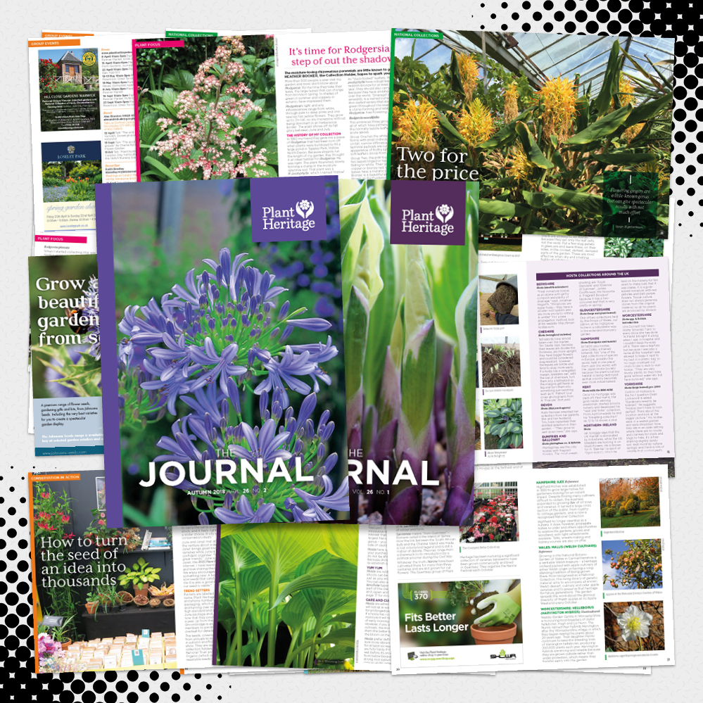 Periodical Remote Freelance Creative Artworker Graphic Designer Southampton Hampshire UK